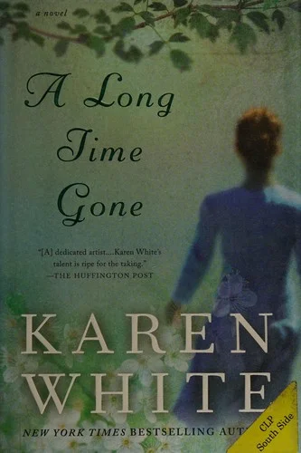 Cover of Long Time Gone