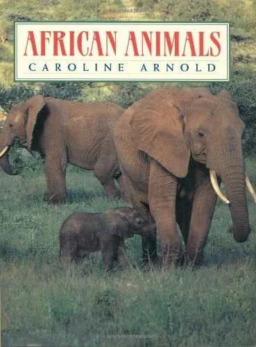 Cover of African animals