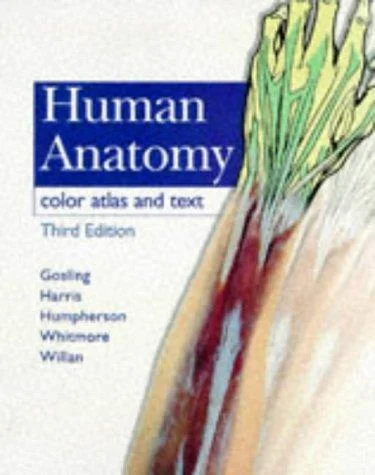 Cover of Human anatomy