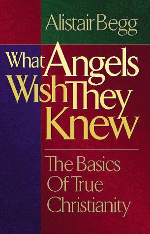 Cover of What Angels Wish They Knew