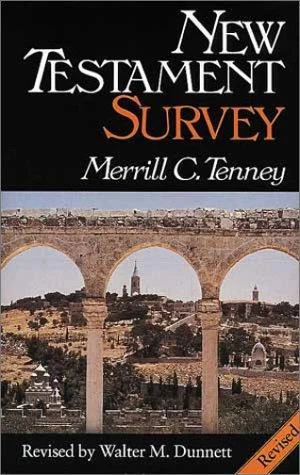 Cover of New Testament survey