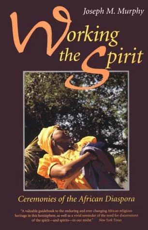Cover of Working the Spirit