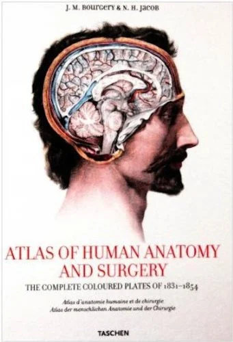 Cover of Atlas of Human Anatomy and Surgery in English - French - German