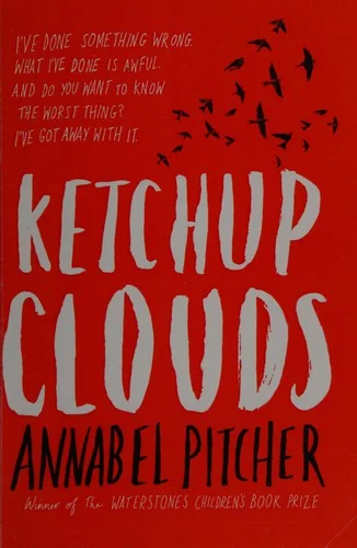 Cover of Ketchup clouds