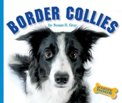 Cover of Border Collies (Domestic Dogs)