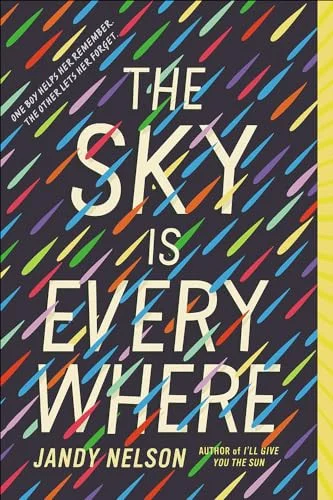 Cover of The sky is everywhere