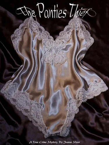 Cover of The Panties Thief
