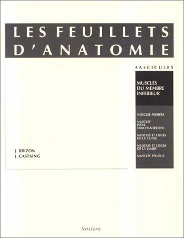 Cover of Les feuillets d'anatomie. Muscles du membre inférieur