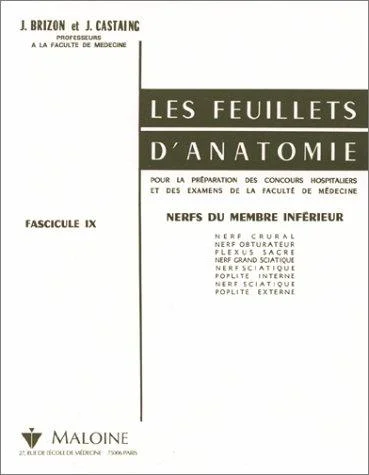 Cover of Les feuillets d'anatomie. Nerfs du membre inférieur