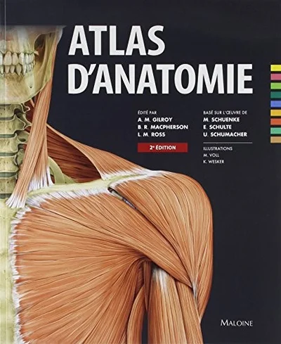 Cover of Atlas D'anatomie (French Edition)