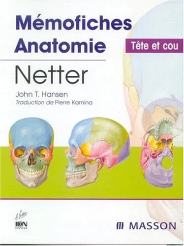 Cover of Mémofiches anatomie Netter. Tête et cou