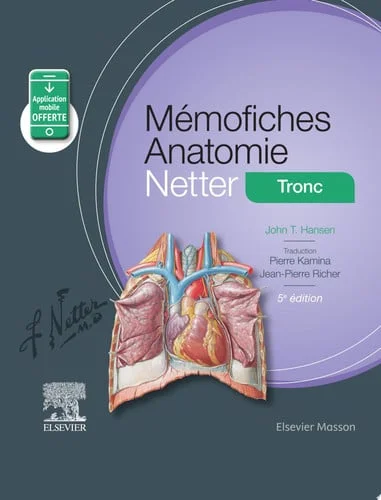 Cover of Mémofiches Anatomie Netter - Tronc