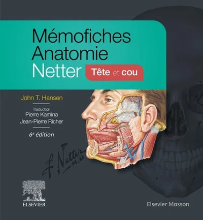 Cover of Mémofiches anatomie Netter. Tête et cou