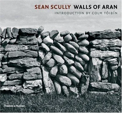 Cover of Sean Scully
