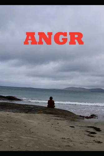 Cover of Angr
