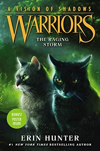 Cover of Raging Storm
