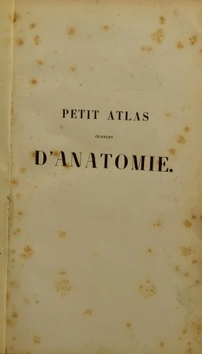 Cover of Petit atlas complet d'anatomie descriptive du corps humain