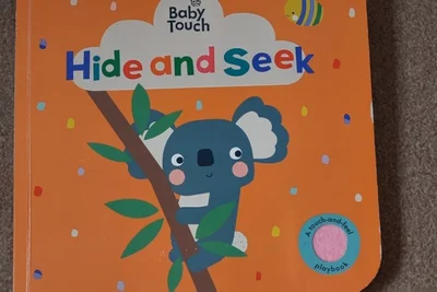Cover of Hide and Seek
