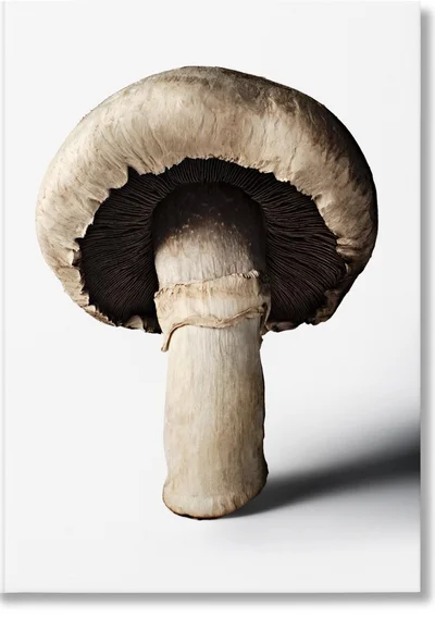 Cover of The Gourmand's Mushroom. A Collection of Stories & Recipes