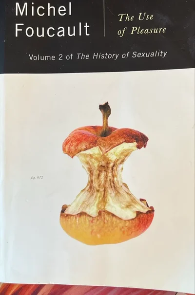 Cover of The History of Sexuality, Volume 2: The Use of Pleasure